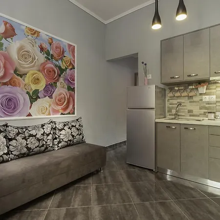 Diogenis * بورتو كوفو