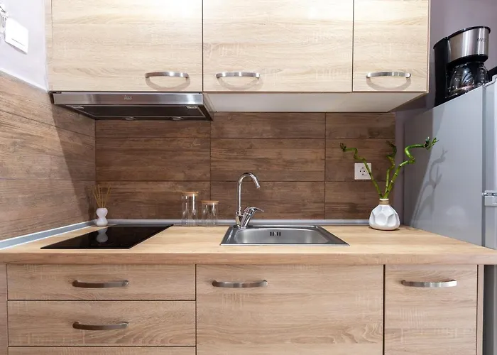 迪奥吉尼斯公寓 *