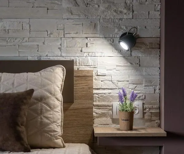 迪奥吉尼斯公寓 公寓 *