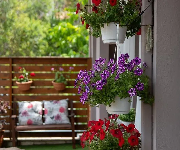 公寓 迪奥吉尼斯公寓