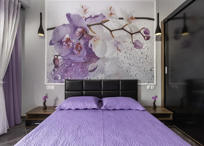 迪奥吉尼斯公寓 *