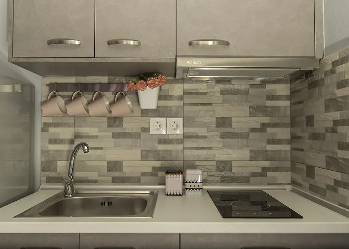 公寓 迪奥吉尼斯公寓 *