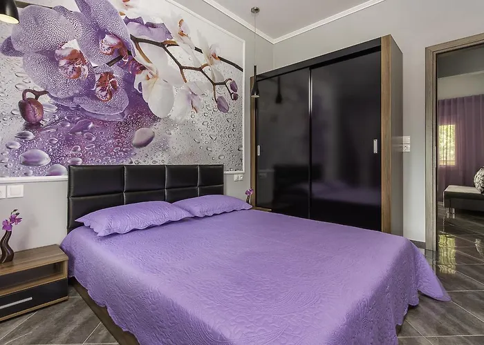 公寓 迪奥吉尼斯公寓 *