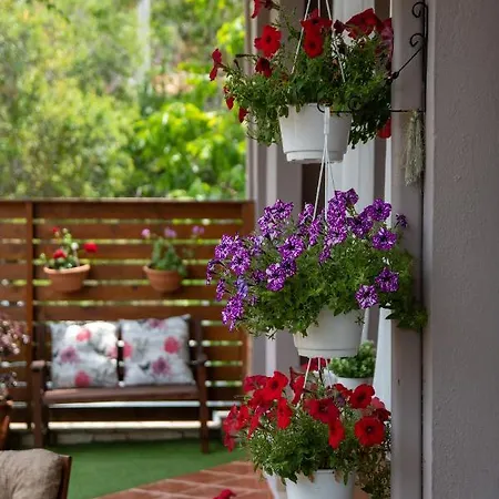 Apartment Diogenis